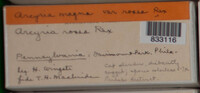 Image Associated With the Occurence